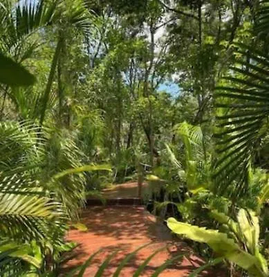 El Refugio Verde En La Veleta Espacioso Y Acogedor Con Top Amenities 2 Dormitorios Tulum